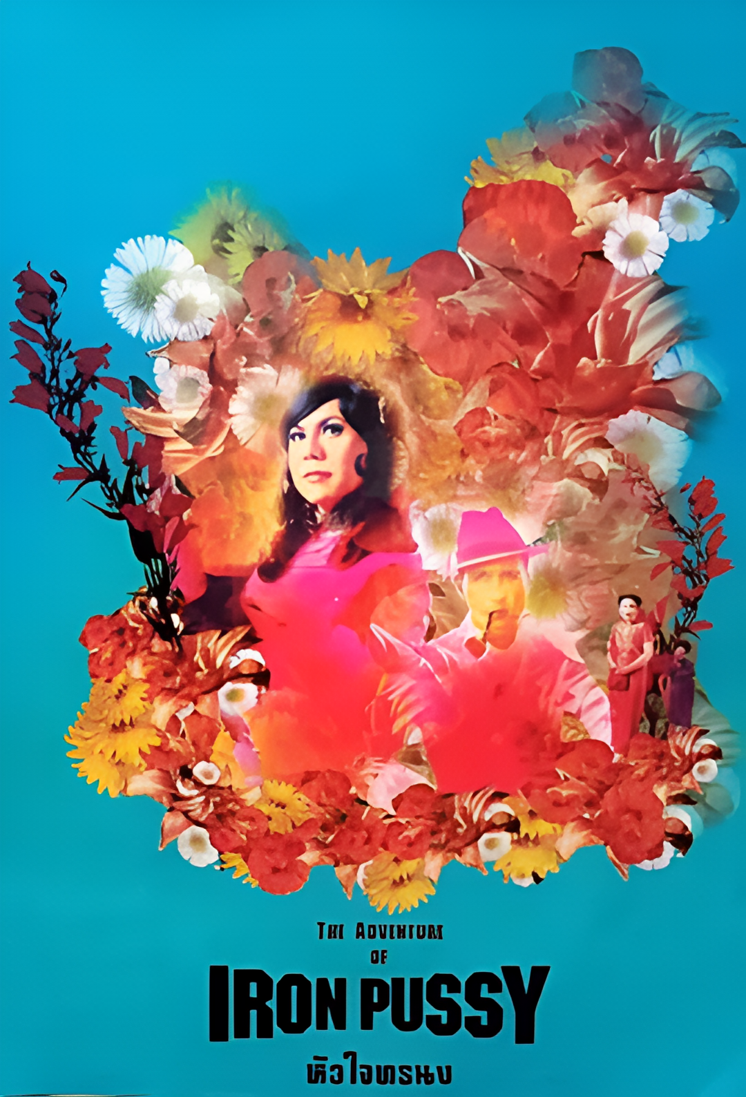 铁鸡谍网种情花