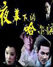 夜幕下的哈尔滨(84版)